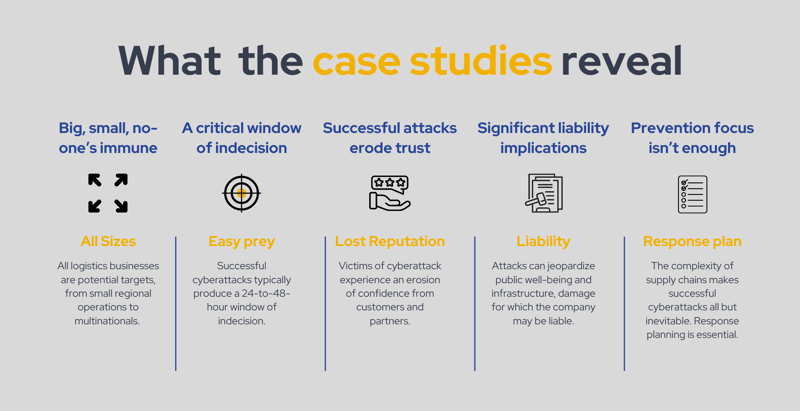 What the case studies reveal-1