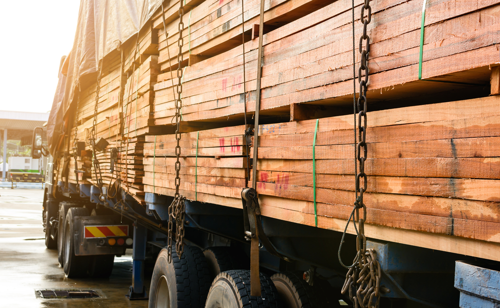 Lessons we can learn from the changing lumber industry